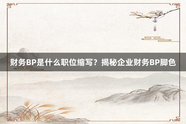 财务BP是什么职位缩写？揭秘企业财务BP脚色
